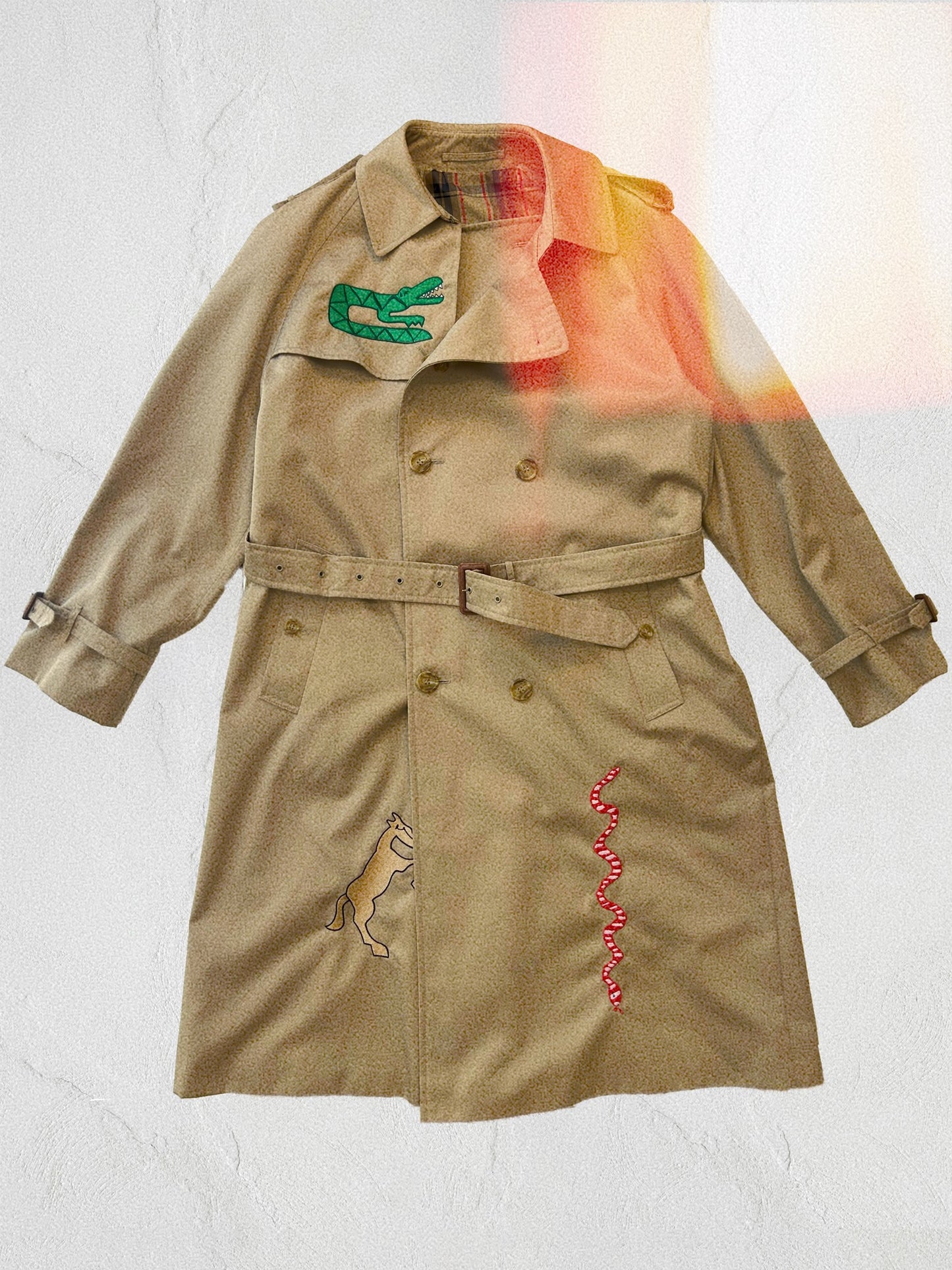 Reimagined embroidered trench coat/ Mac